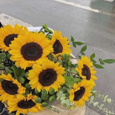 B体育IOS版下载安装