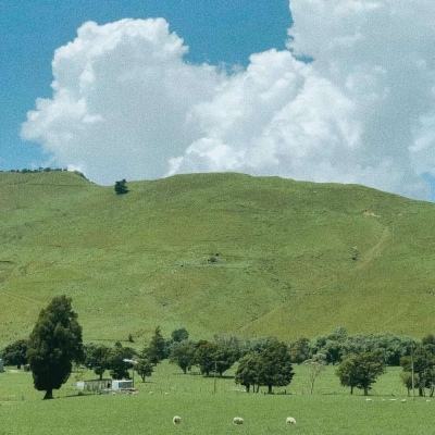 开元棋脾下载截图