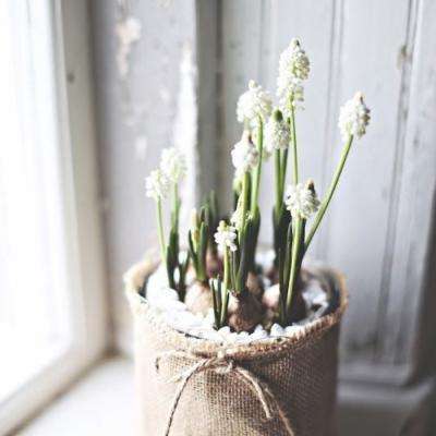 永乐国际下载手机版截图