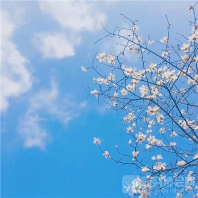 非凡体育APP下载手机app下载截图