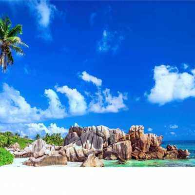 永乐国际下载手机版